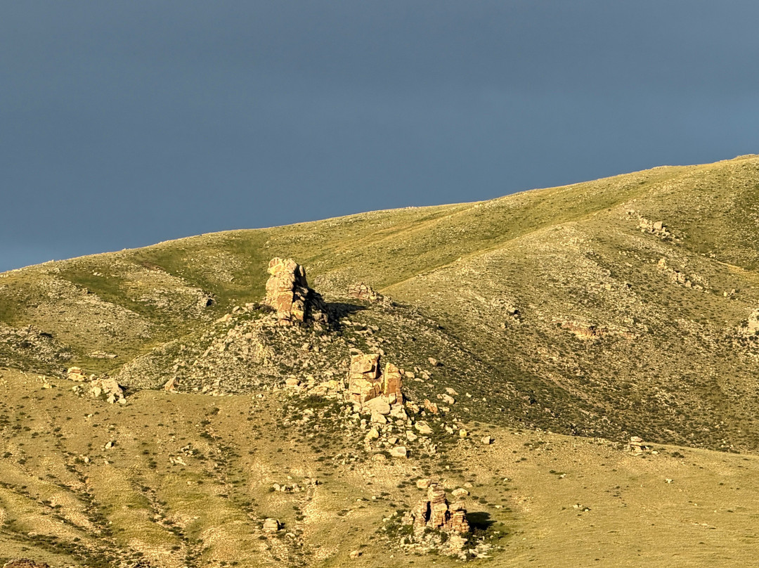 Hustai National Park-乌兰巴托必去景点