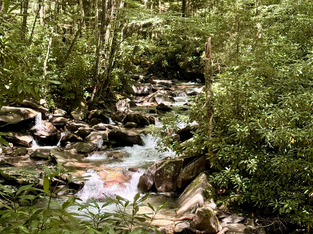 Mount LeConte-大雾山国家公园必去景点