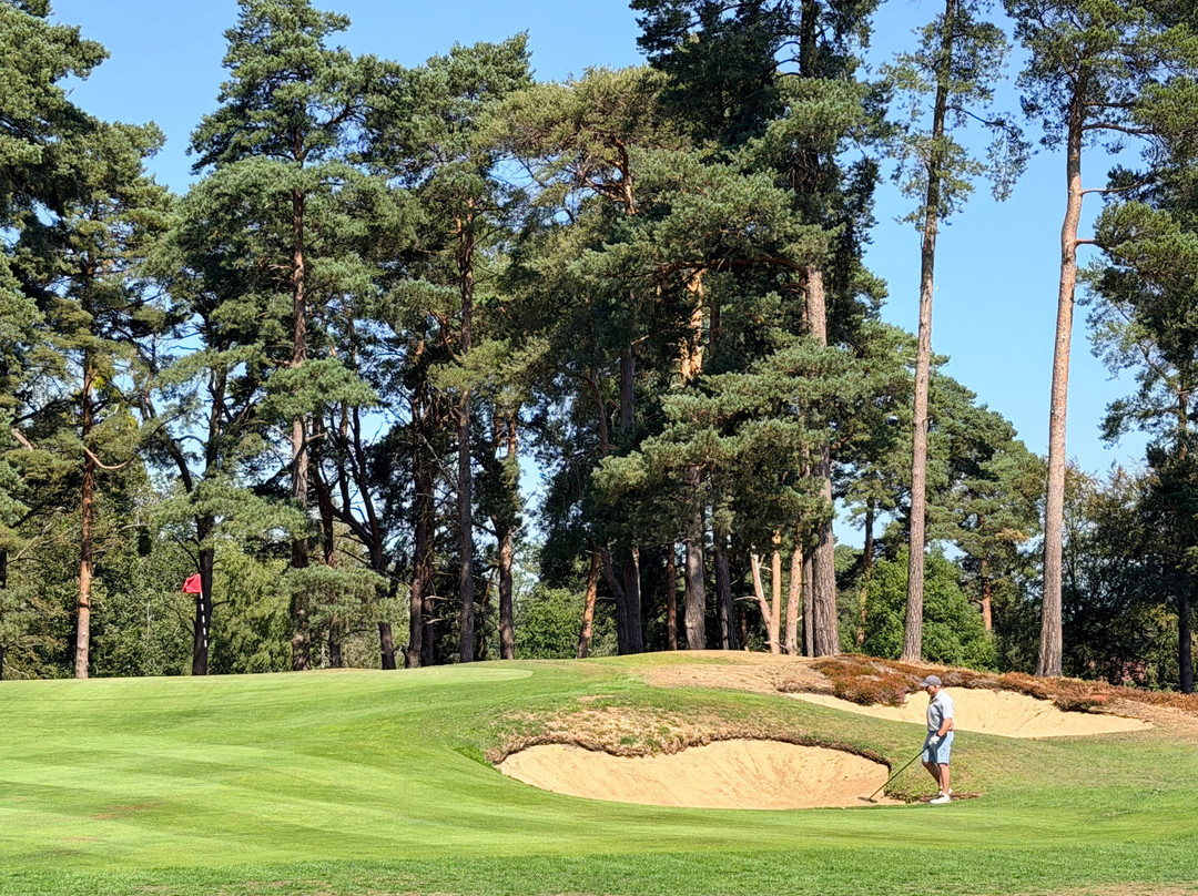 Swinley Forest Golf Club