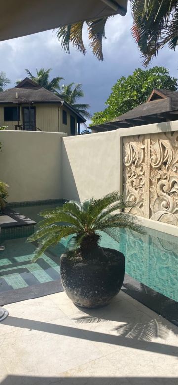 Te Manava Luxury Villas-旅行者