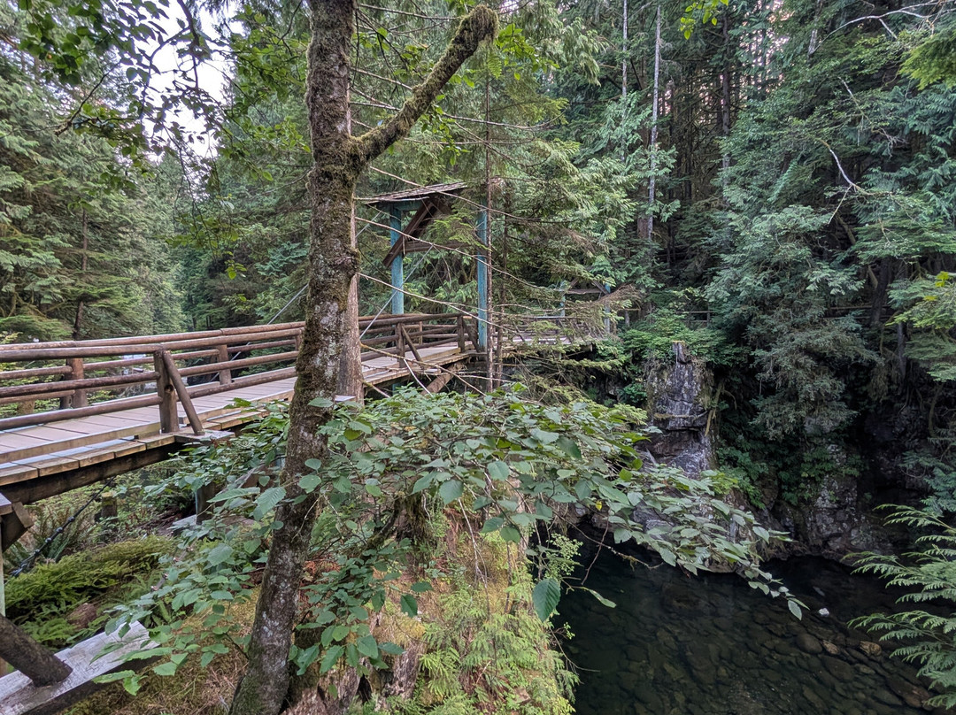 Capilano Salmon Hatchery-北温哥华必去景点