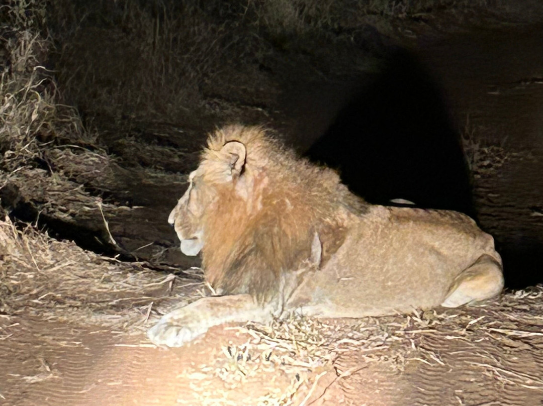 The Kruger Safari Co.-司库库札必去景点