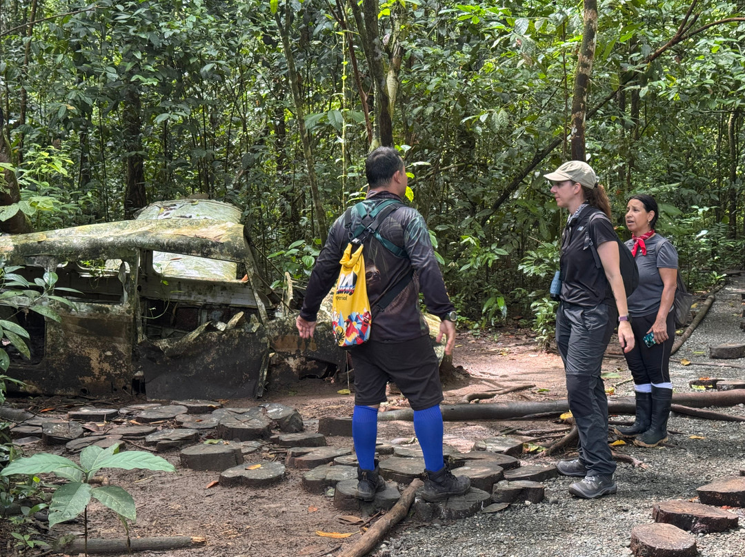 Jaguar Corcovado Tours-希门尼斯港必去景点