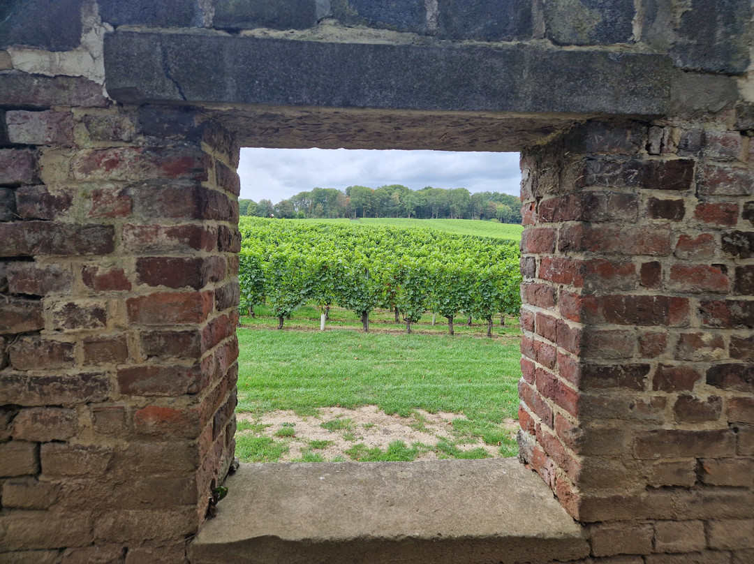 Genoels-Elderen Wine Castle-Riemst必去景点