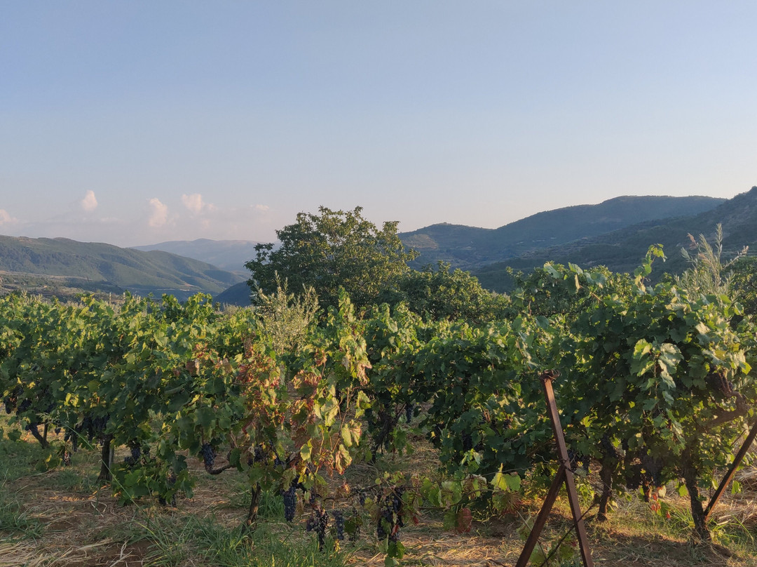 Alpeta Agrotourism & Winery-培拉特必去景点