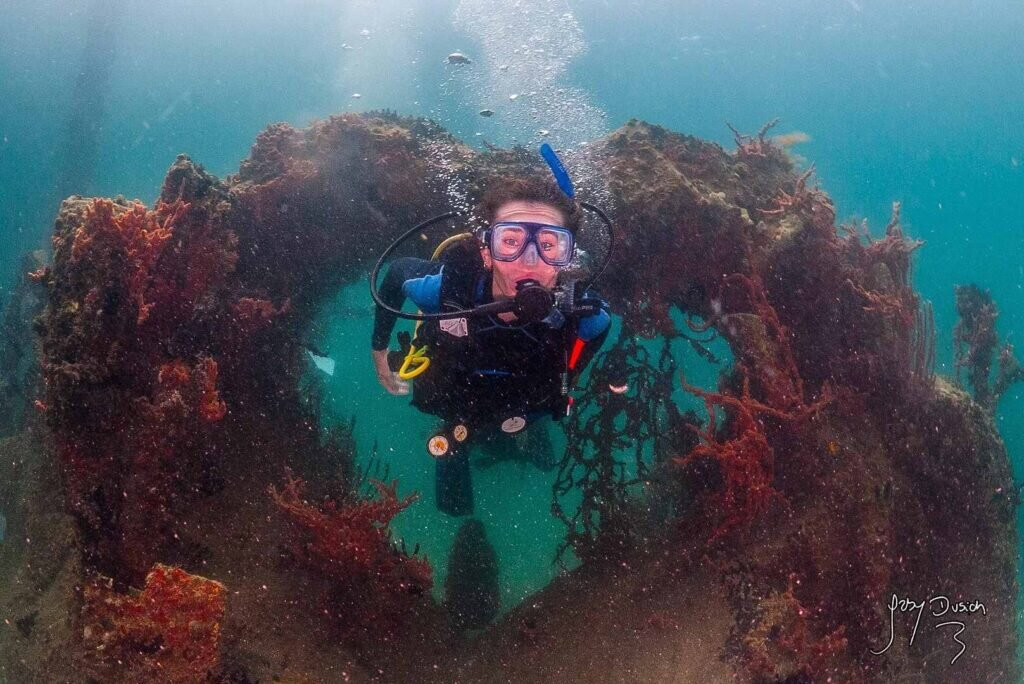 Bocas Dive Center-博卡斯镇必去景点