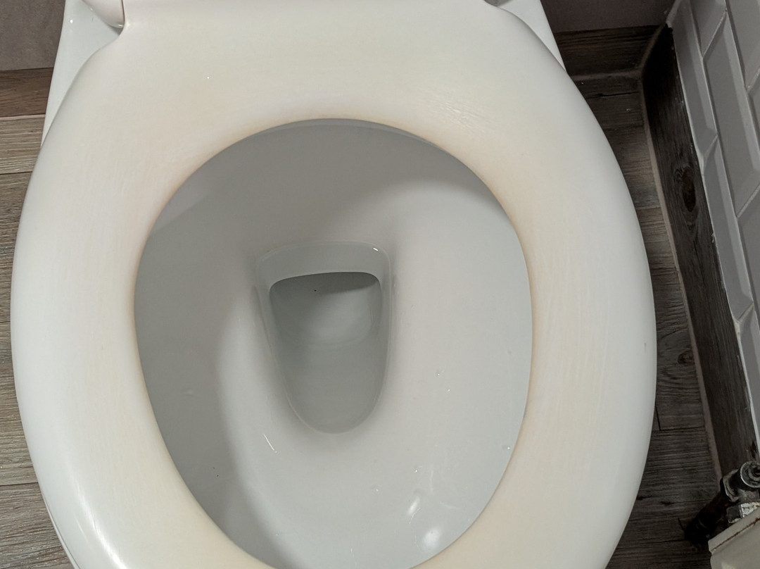 布罗多克主图