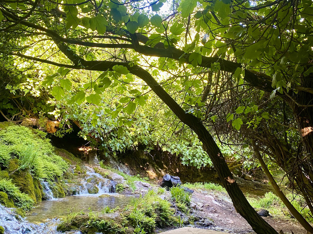 Bosque Encantado de Higueras-Pozo Alcon必去景点