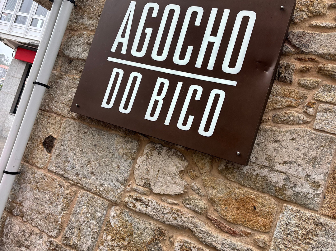 Agocho do Bico