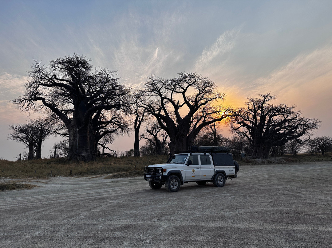 Baines Baobabs-Nxai Pan National Park必去景点