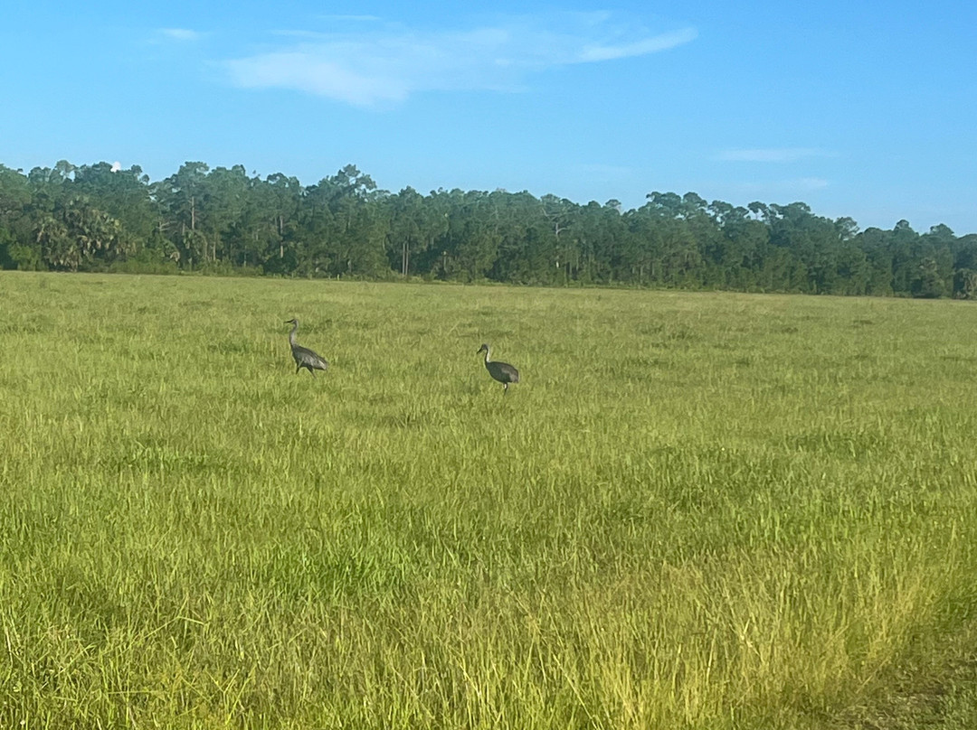 Walton Ranch Preserve-North Port必去景点