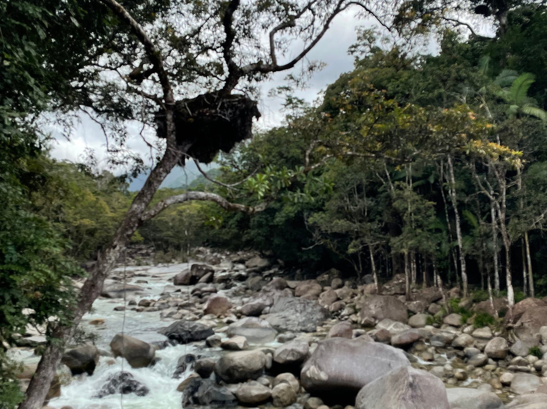 Mossman Gorge Cultural Centre-丹特里区必去景点