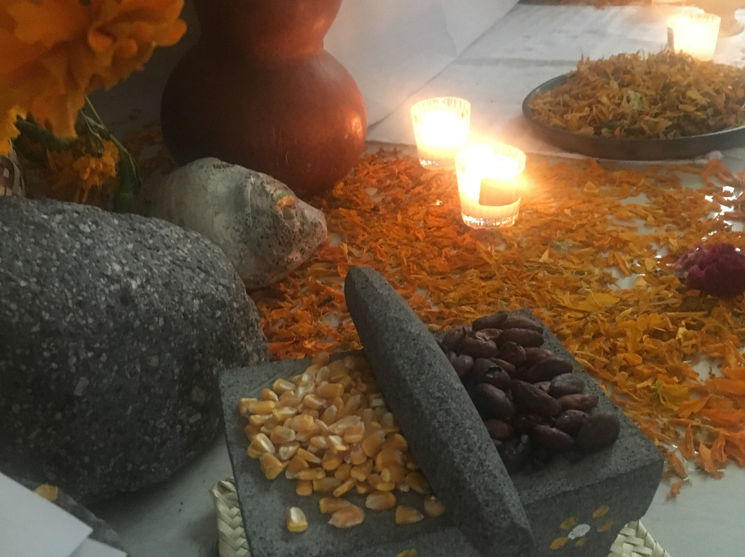 Oaxaca Mystical-瓦哈卡必去景点