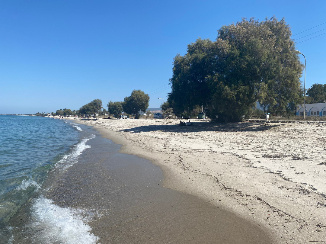 Tigaki Beach-Tigaki必去景点