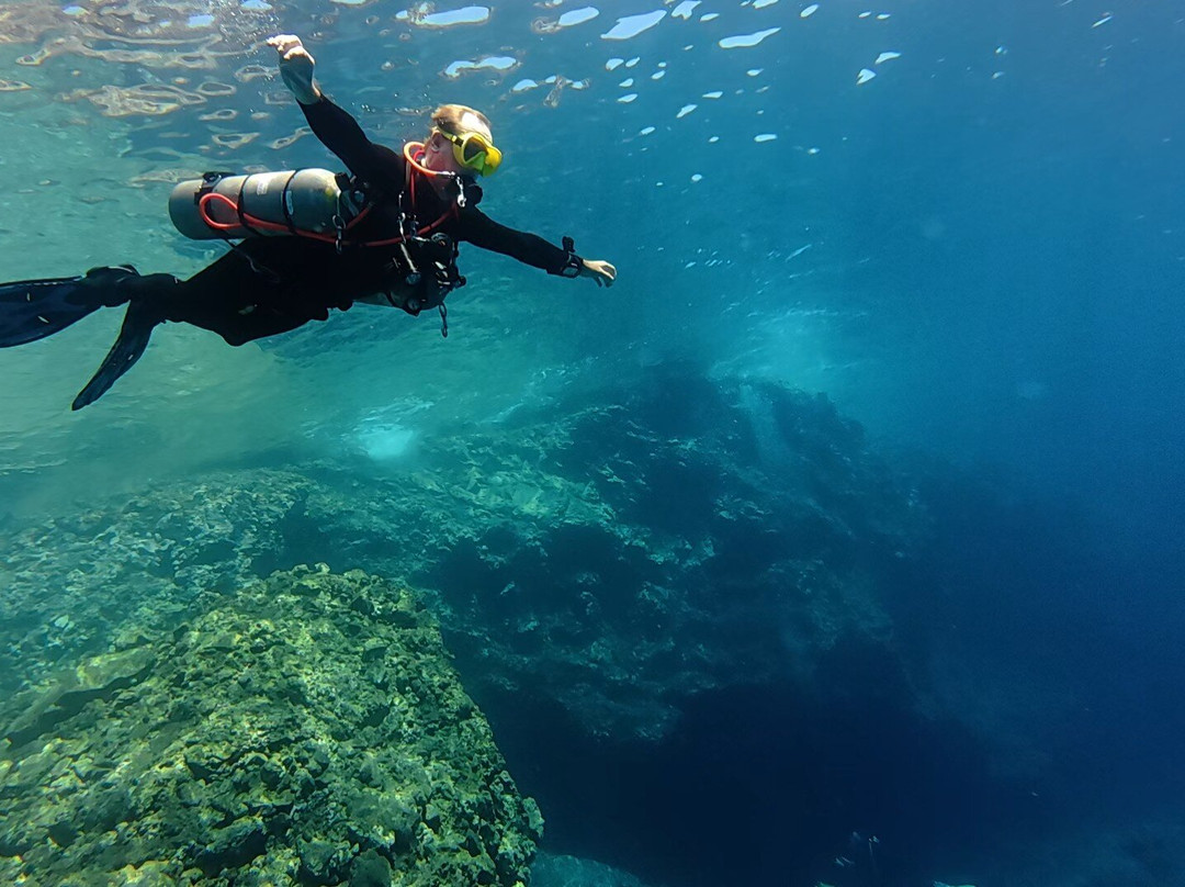 Orca Diving Ustica-Ustica必去景点