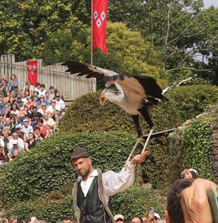 Puy-du-Fou Les Incontournables 3 Le Bal des Oiseaux Fantômes-莱瑟佩瑟必去景点