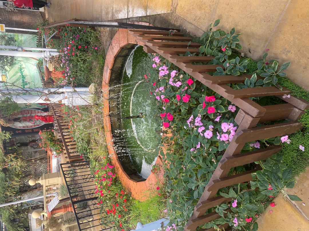 Butterfly World and Fountain World-Wootton必去景点