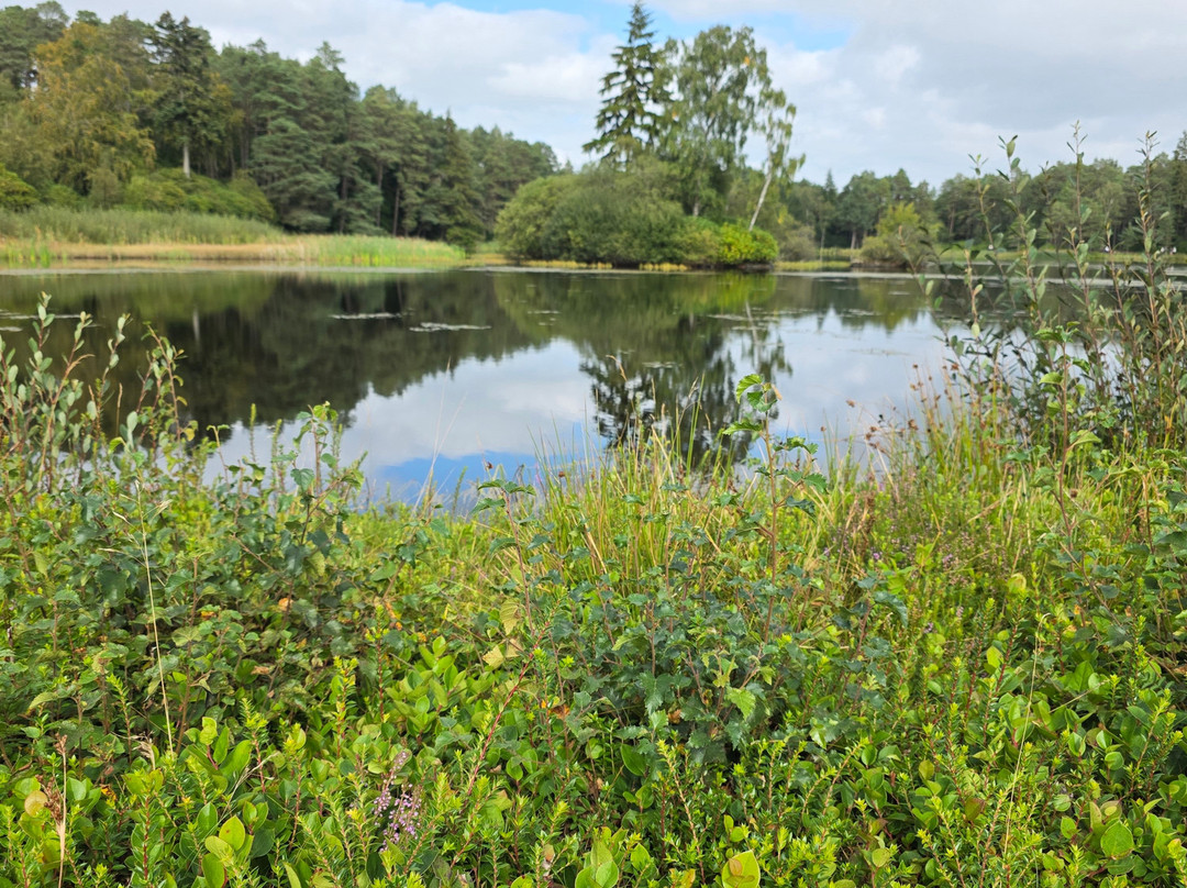 Cragside House and Gardens-Rothbury必去景点