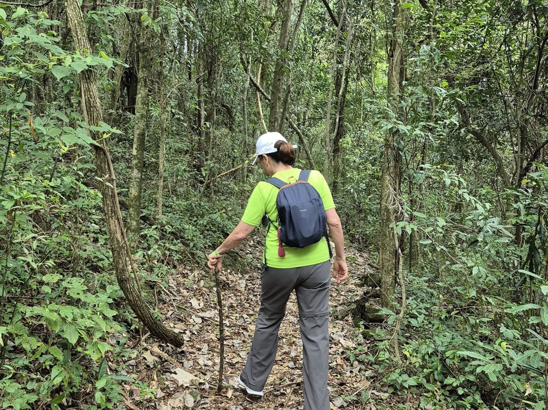Parque Natural Terra das Cachoeiras-Bueno Brandao必去景点