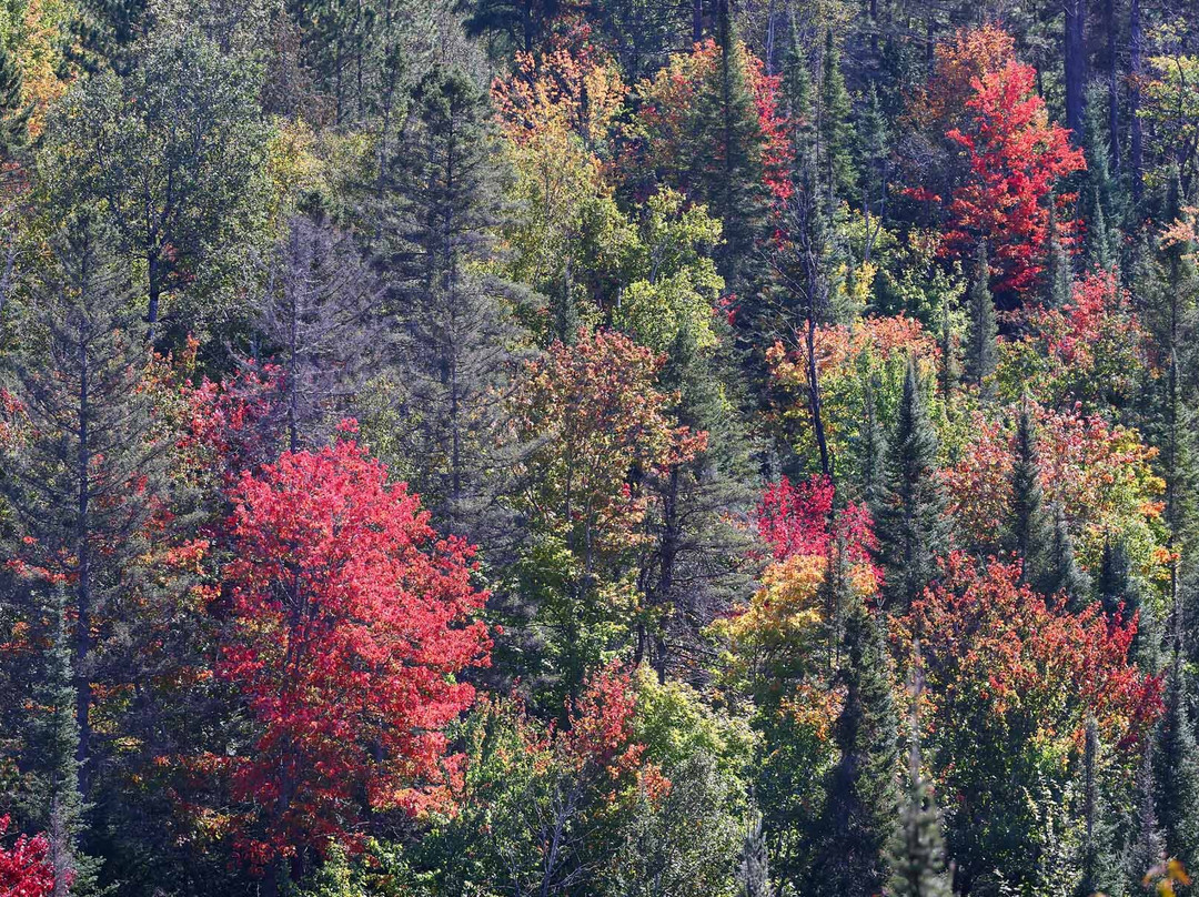 Sentier des cimes Laurentides-Mont-Blanc必去景点