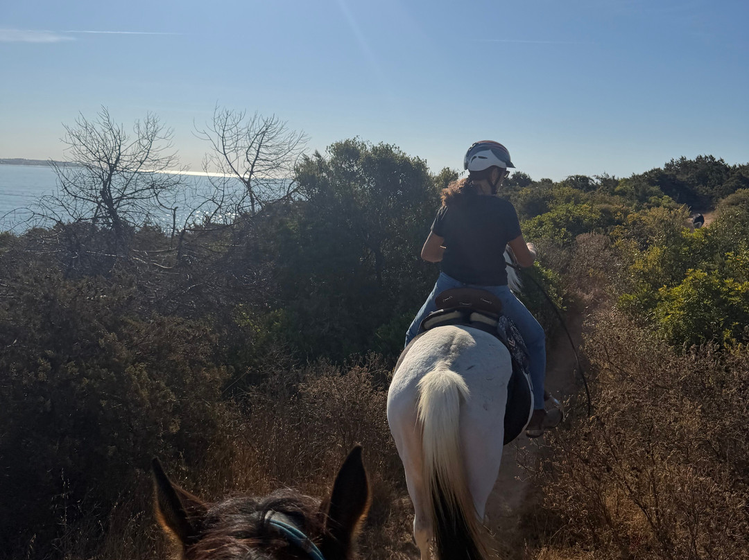 Solid Rocks Algarve Horse Trail Adventures-Porches必去景点