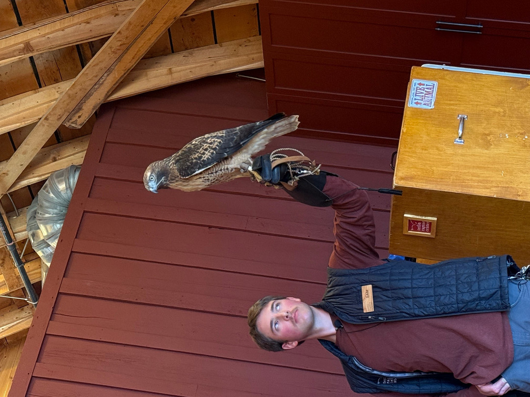 Teton Raptor Center-威尔逊必去景点