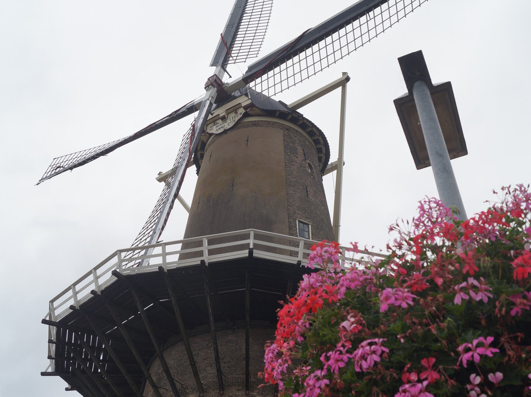 Red Lion Windmill (Molen De Roode Leeuw)-高德必去景点