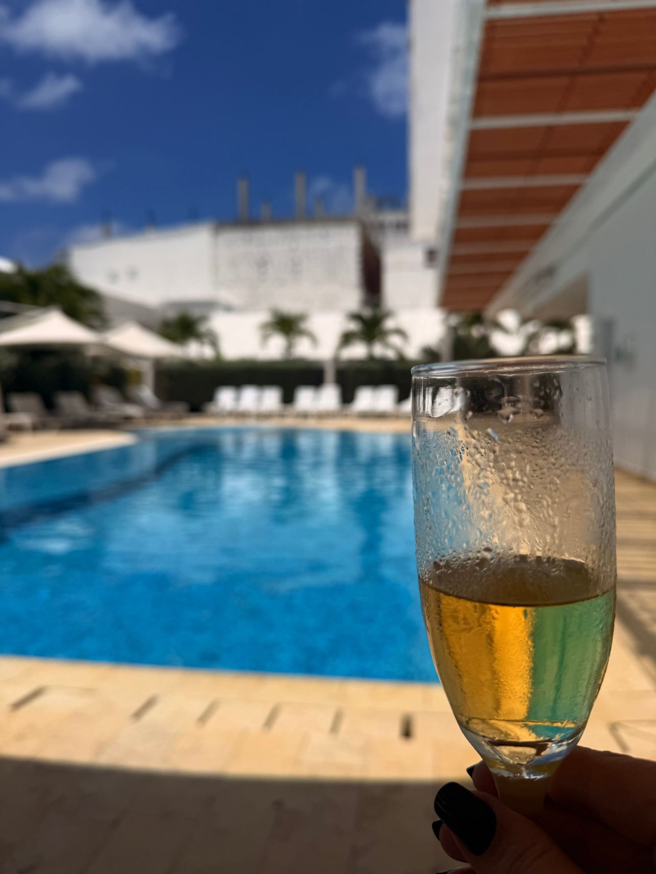 卡萨布兰卡酒店-旅行者