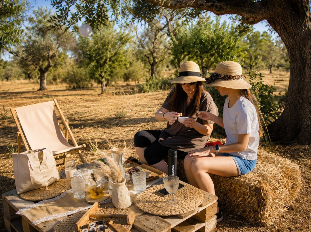 Olive Grove Experience-San Vito dei Normanni必去景点