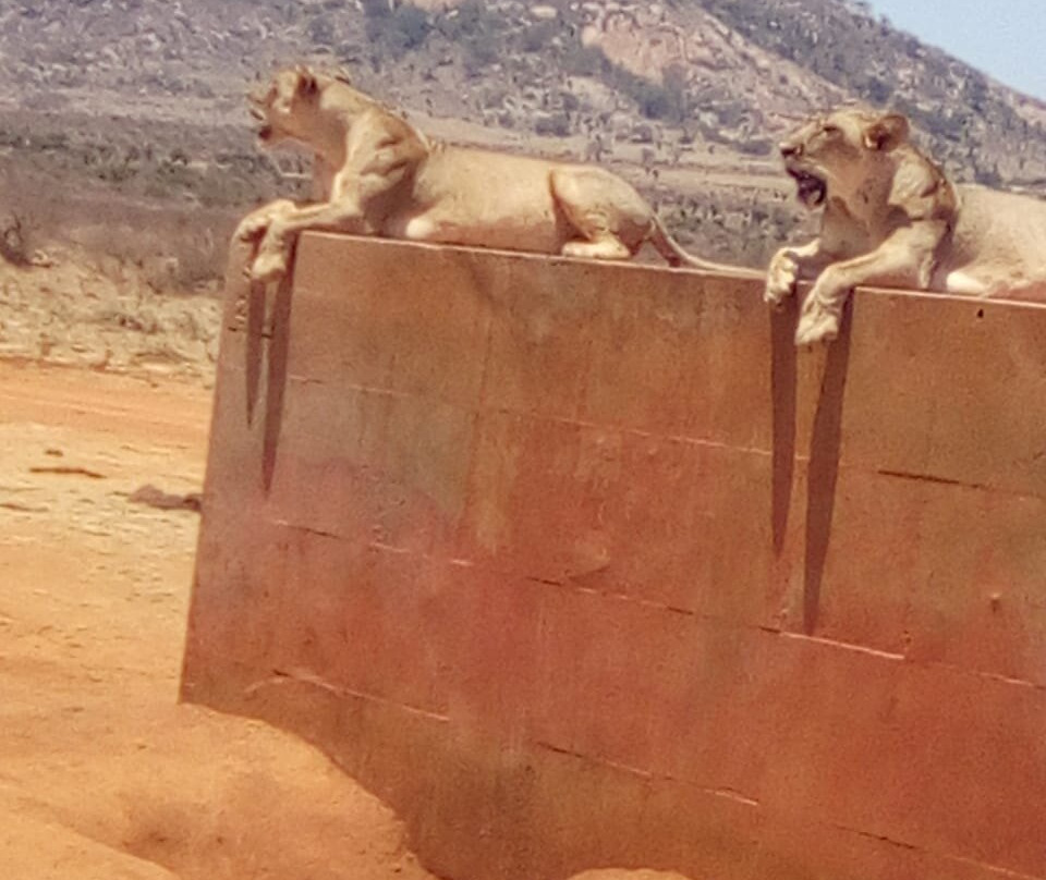 Top Africa Safaris-迪亚尼必去景点