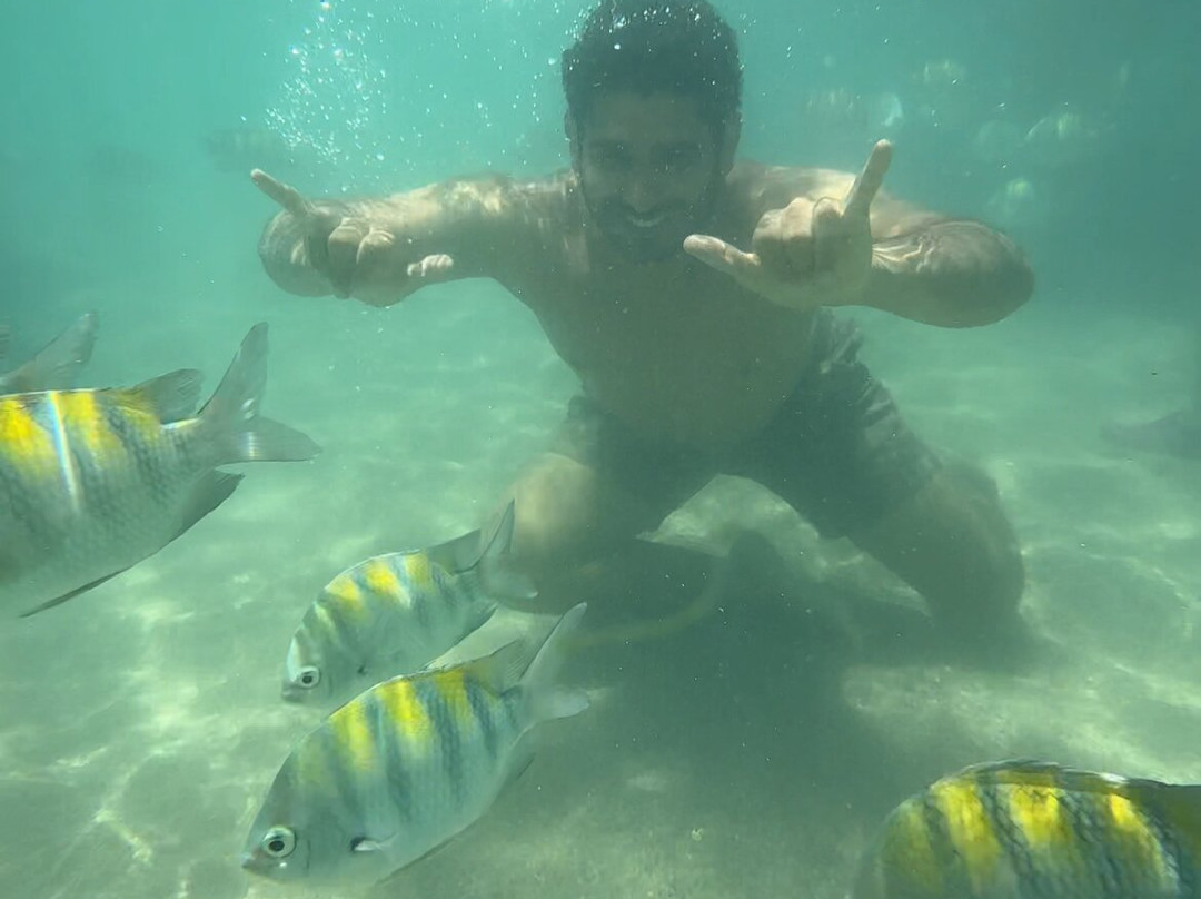 Piscinas Naturais De Pajucara-Maceio必去景点