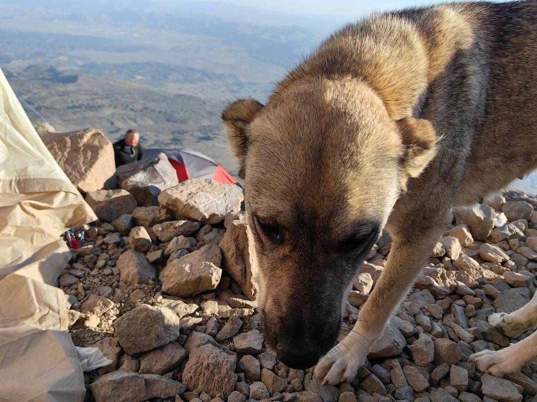 Ararat Trip-Dogubeyazit必去景点