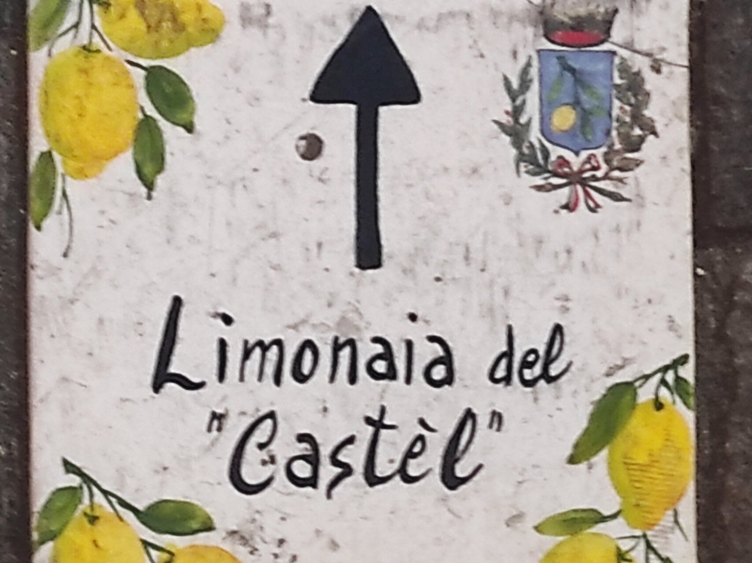 La Limonaia Del Castel-利莫内必去景点