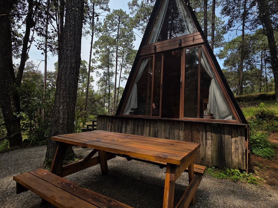 Wander Cabins