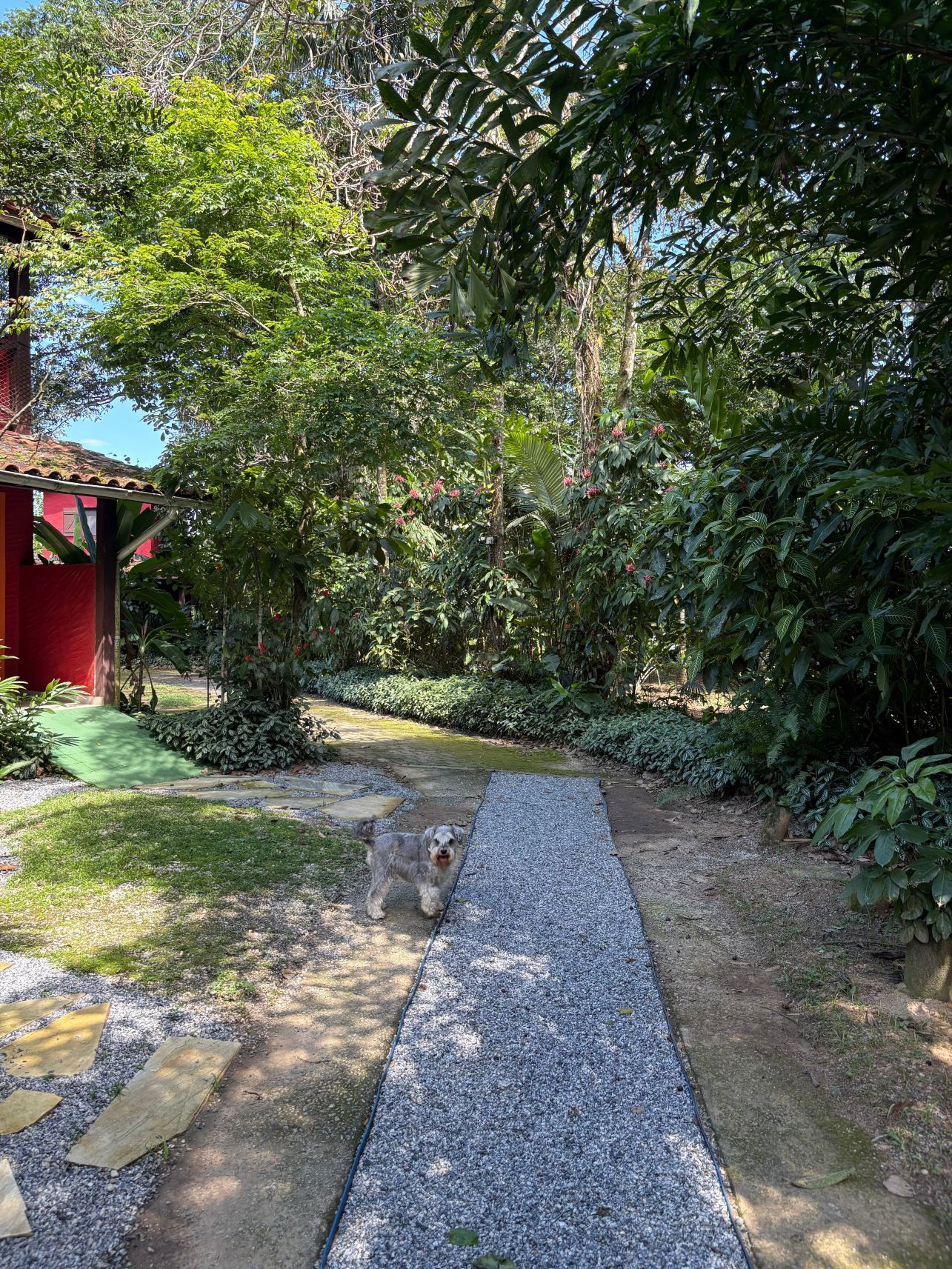 波萨达可可海岸旅馆-旅行者