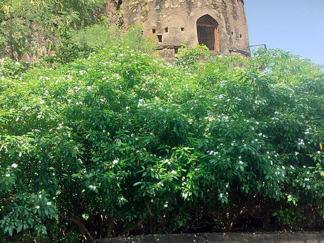 Jhansi Fort-Jhansi必去景点