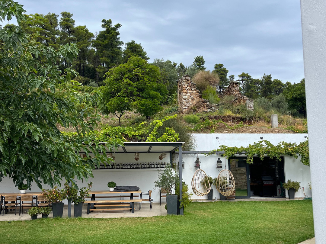 Parissis Winery-斯亚索斯必去景点