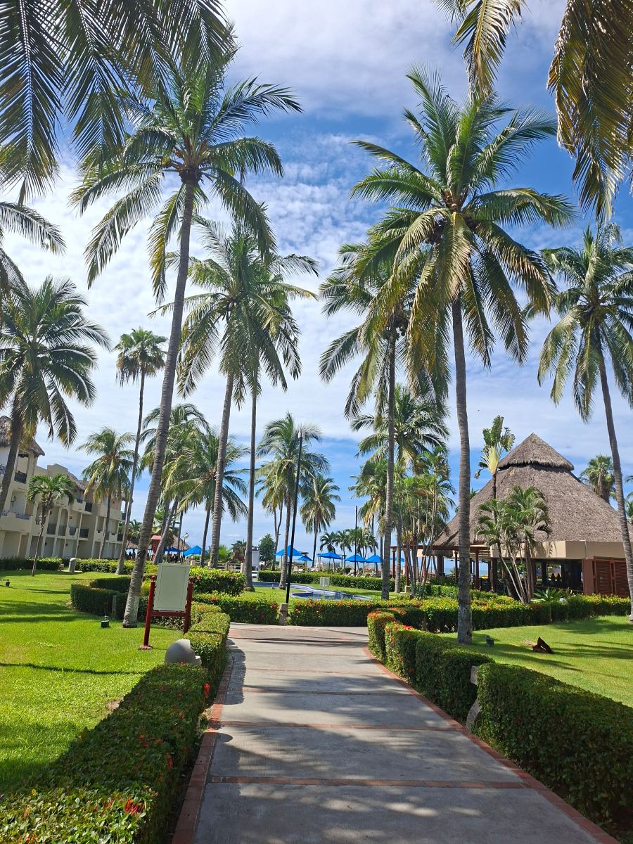 布塞里亚斯的Grand Decameron Complex, A Trademark 全包酒店-旅行者