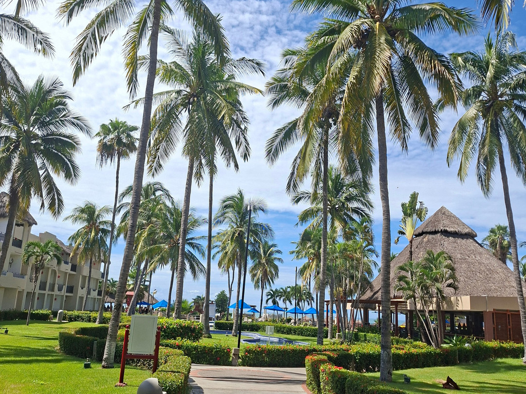 布塞里亚斯的Grand Decameron Complex, A Trademark 全包酒店主图