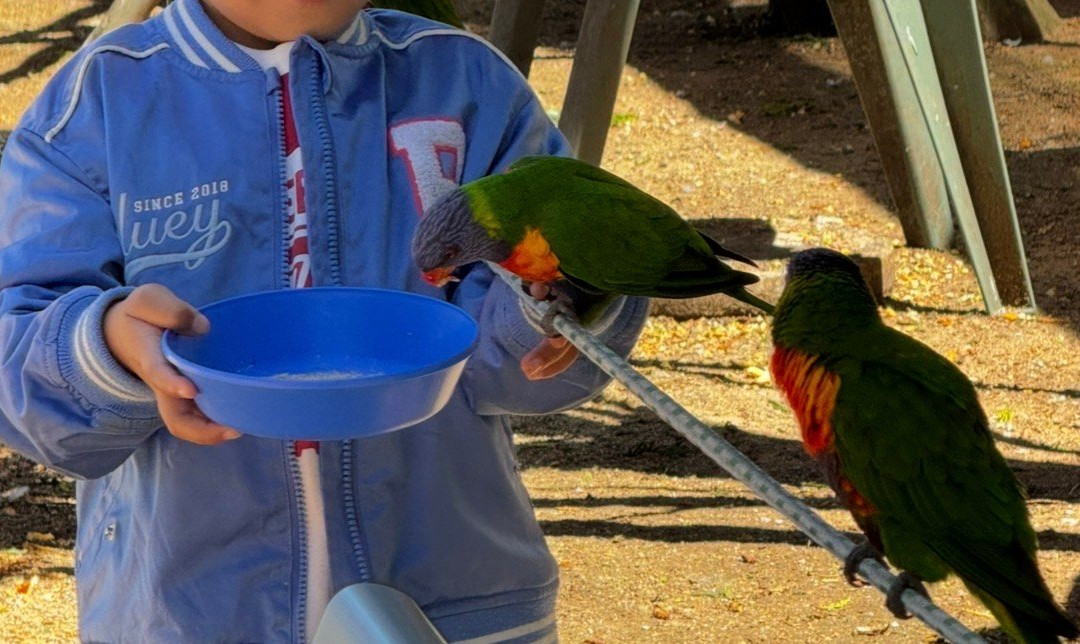 Canberra Walk in Aviary-尼克斯必去景点