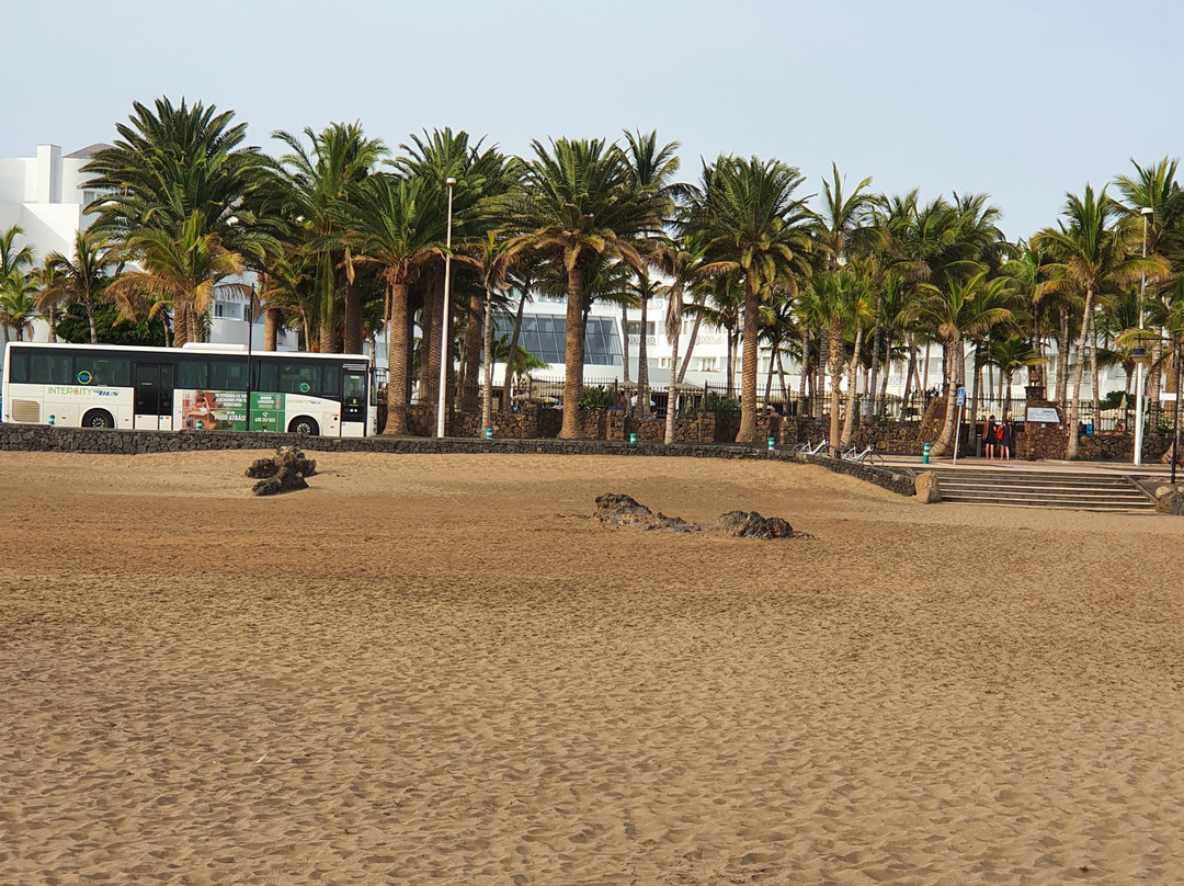 Playa de los Pocillos-卡门港必去景点