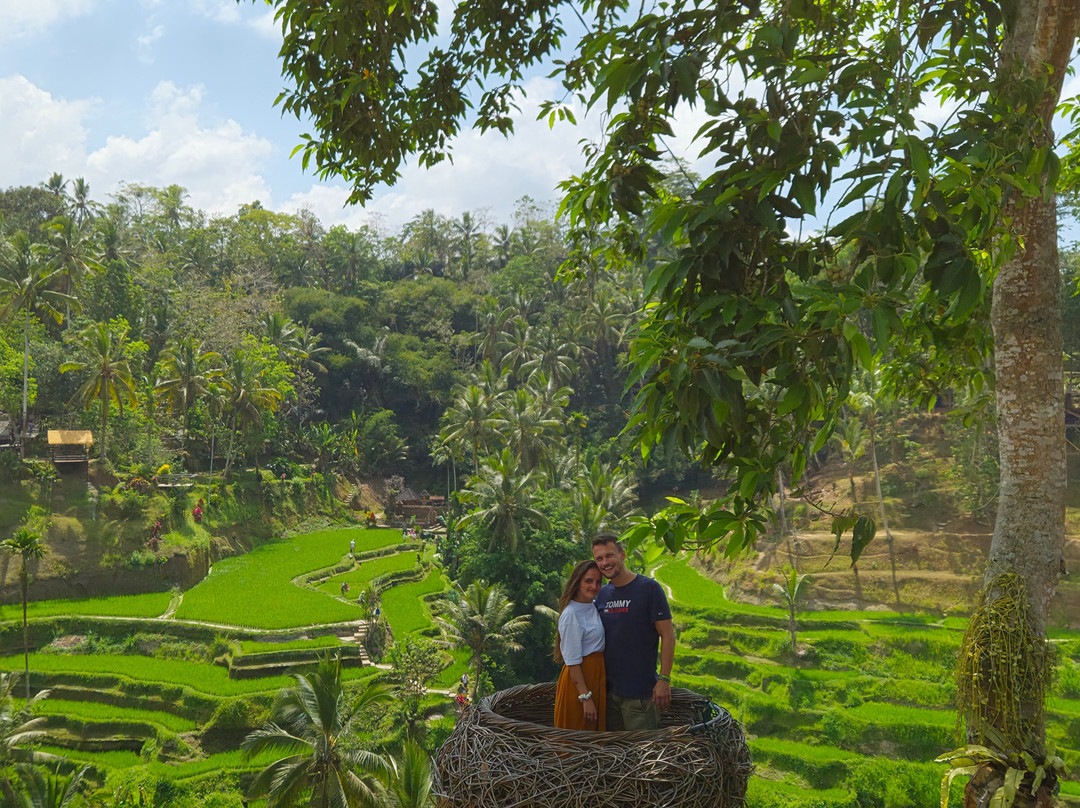 Best Ubud Driver-乌布必去景点