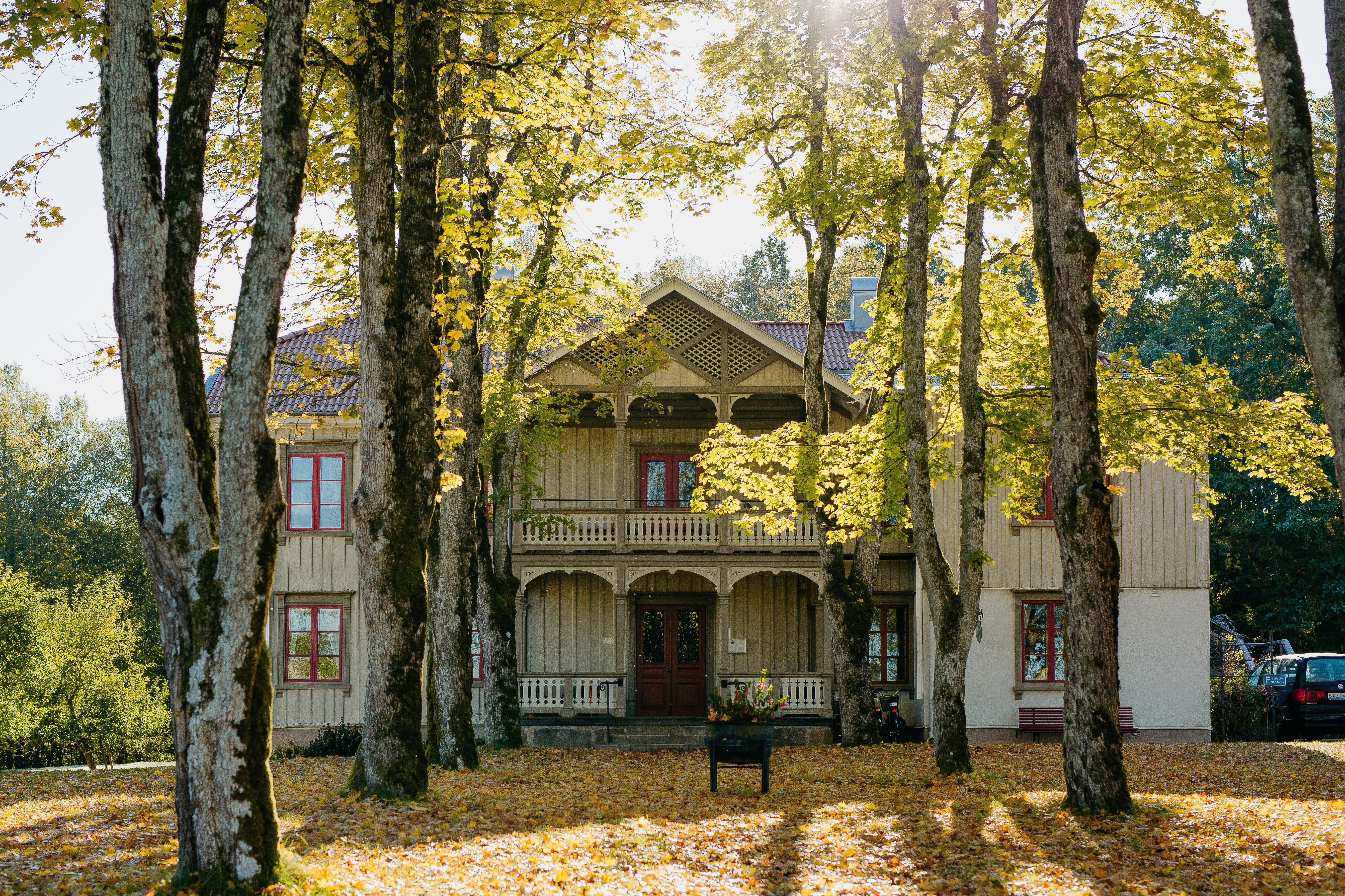 Lydde Gård-官方
