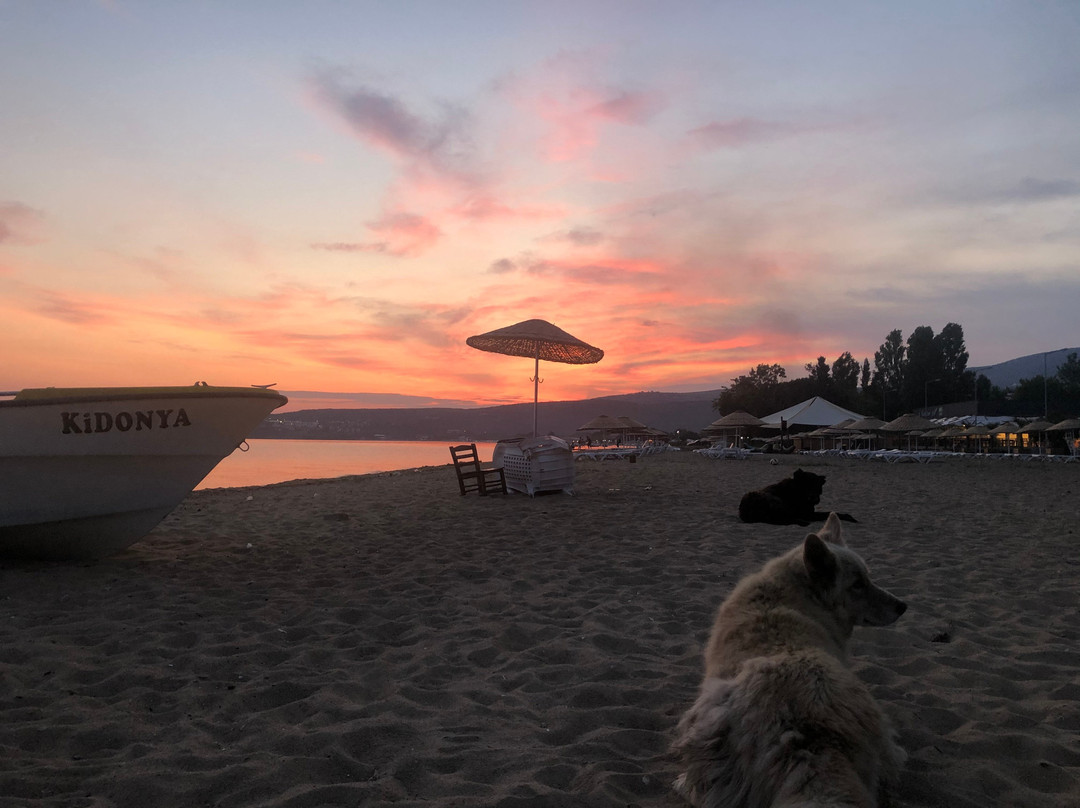 Kiraz Beach Otel