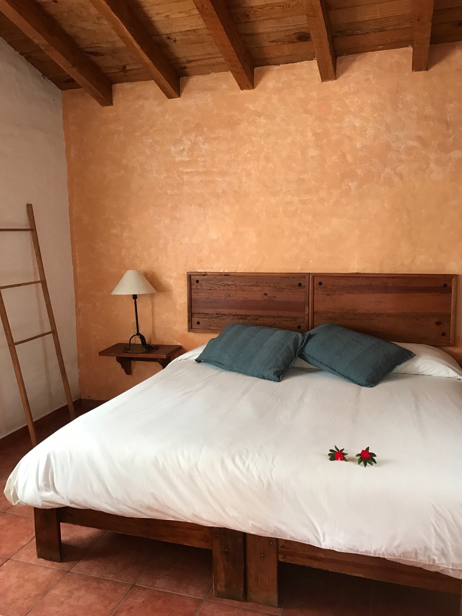 La Casa en el Bosque-官方