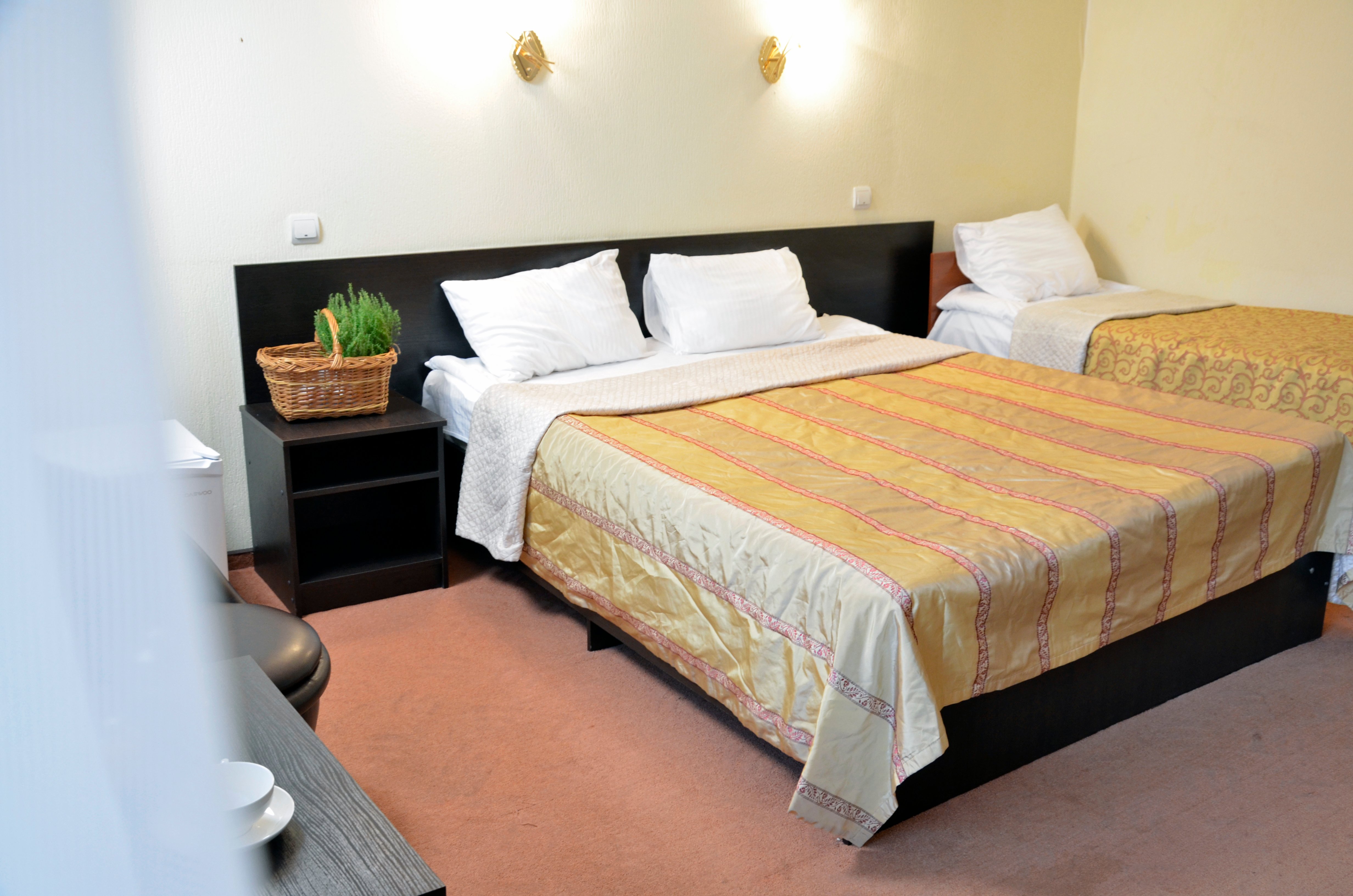 Snezhniy Bars Cheget-官方