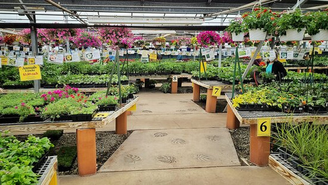 Ashcombe Farm & Greenhouses-梅卡尼克斯堡必去景点