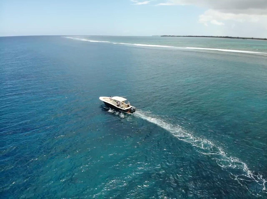 Mac n Cheese Adventures-普罗维登西亚莱斯必去景点