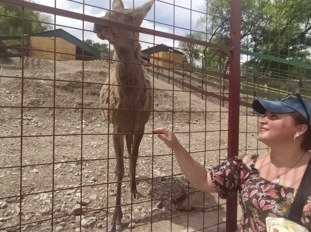 Nalchik Zoo-Nalchik必去景点