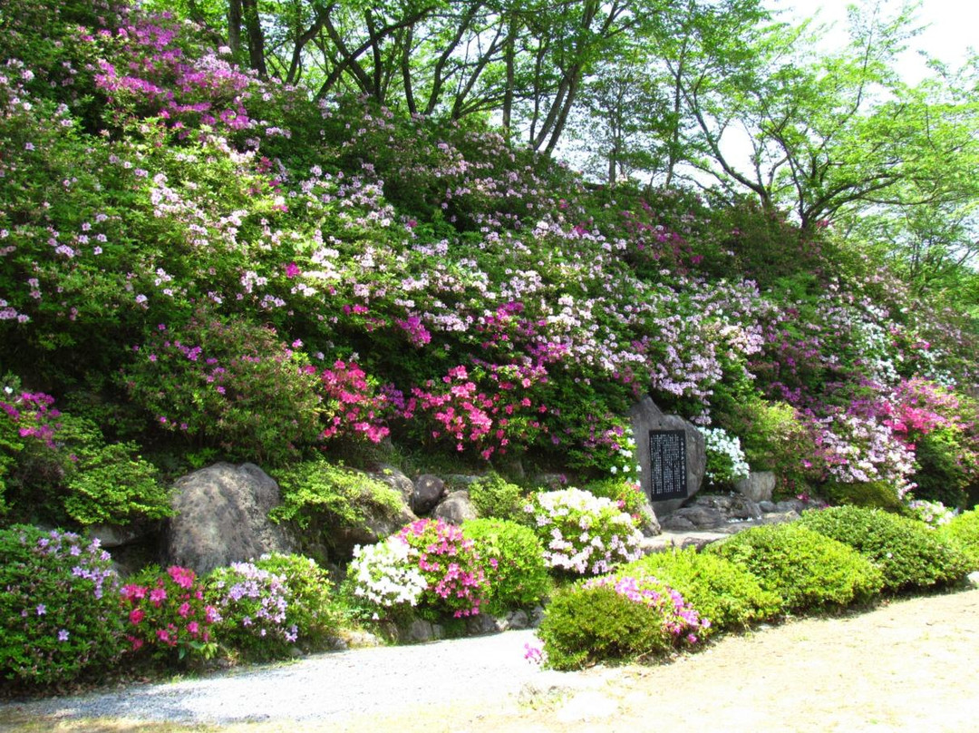 Hachimenzan Peace Park景点图片